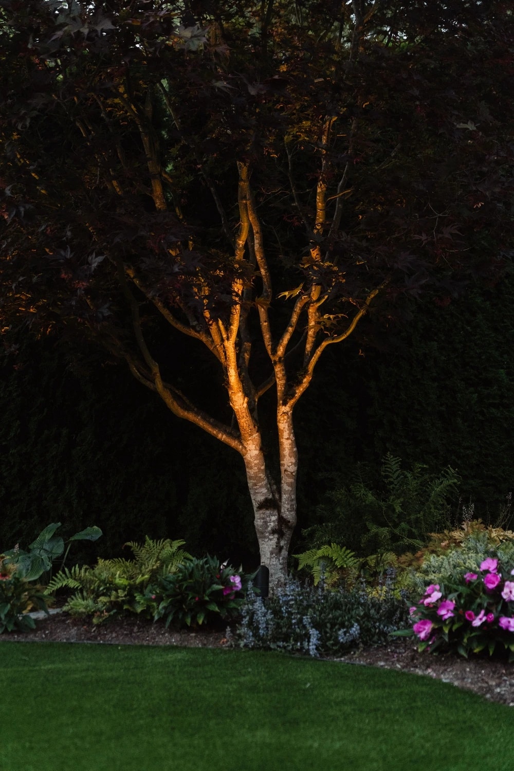 surrey-16