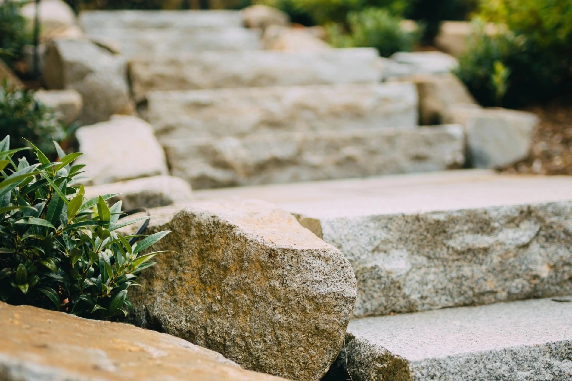 2. Natural Materials with Local Roots