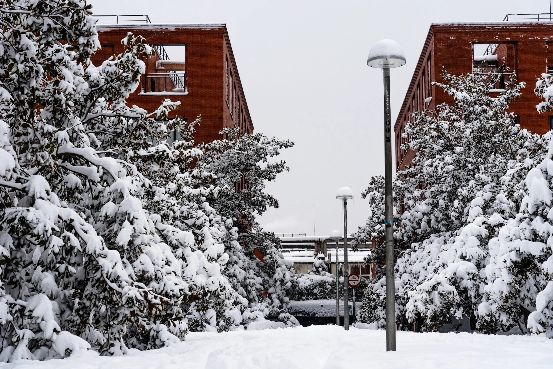 City street during heavy snow