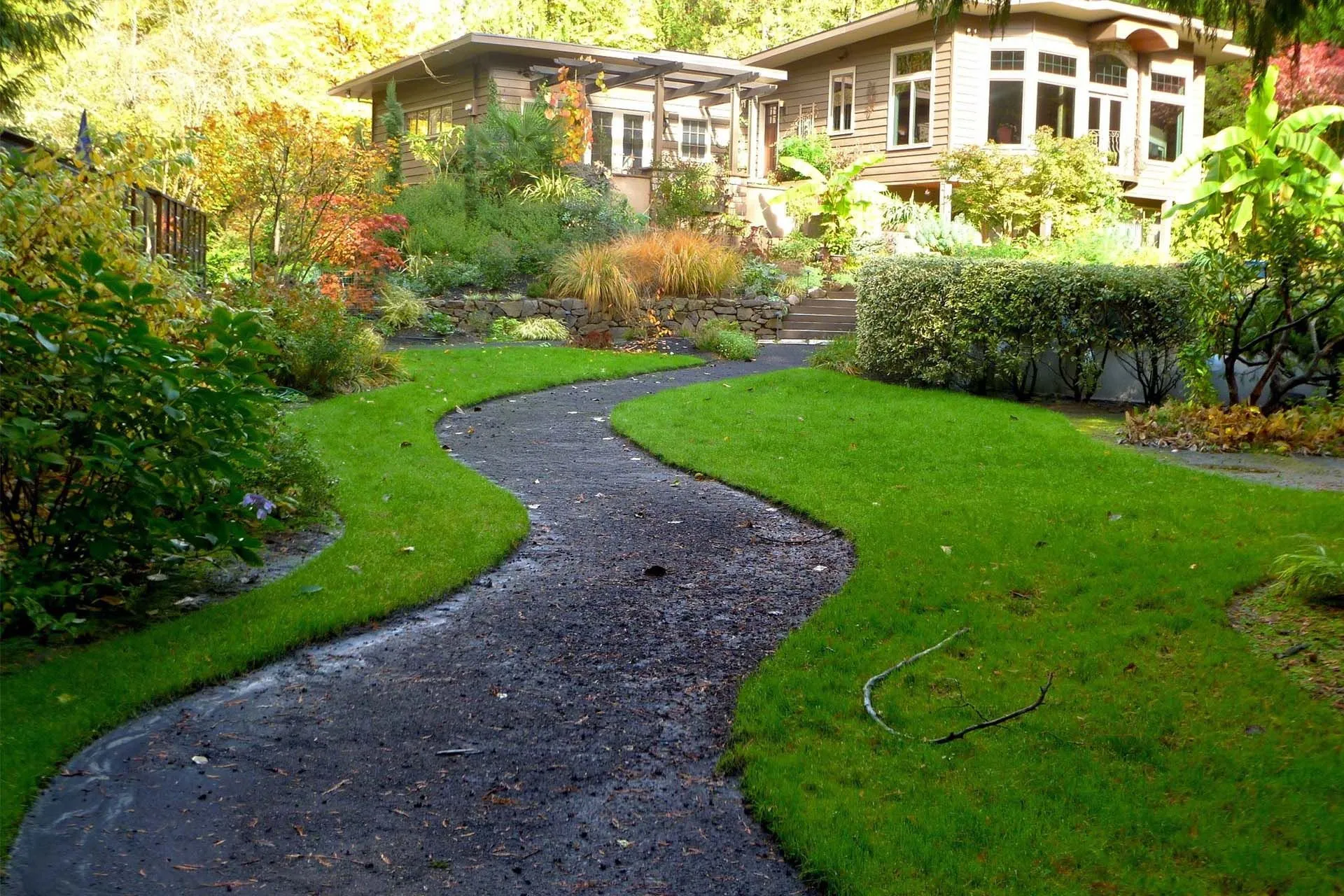 An image of a house's backyard that features a pathway, a lawn and several plants