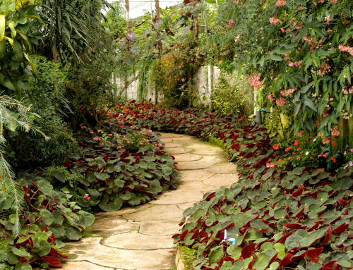 What Are Seasonal Landscaping Services?