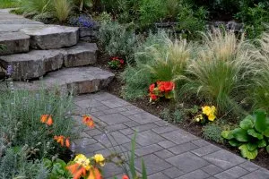 Hyland Landscapes-xeriscaping-a-sustainable-new-trend-in-landscaping-2